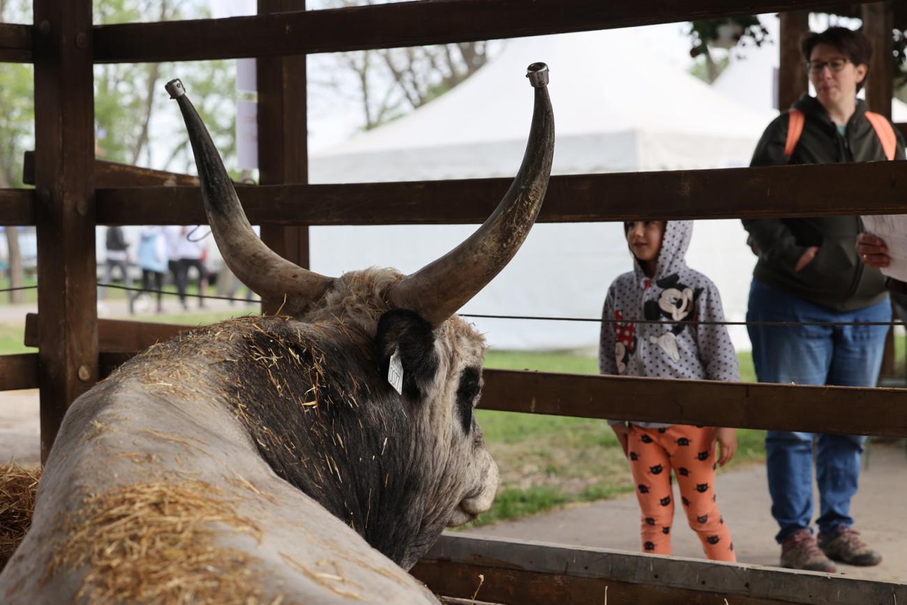 Dolgozzunk tovább együtt a sikeres magyar állattenyésztésért!